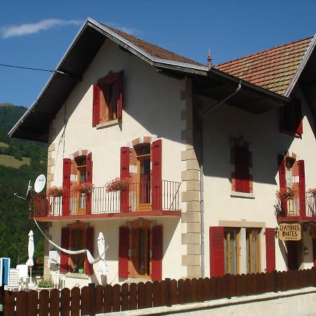 L'Horizon Des Alpes Bed & Breakfast Le Petit-Bornand-les-Glieres Екстериор снимка